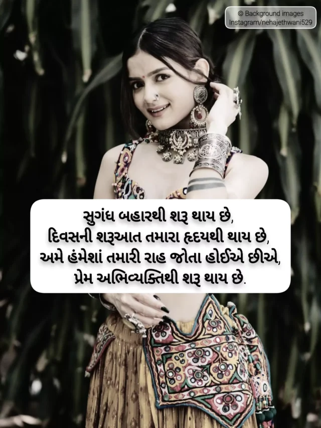 Top 10 Gujarati shayari