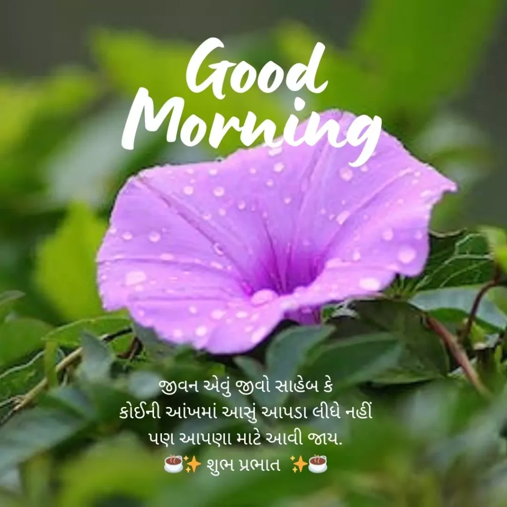 whatsapp good morning quotes in gujarati